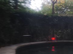 -徂徕山森林康养度假谷温泉