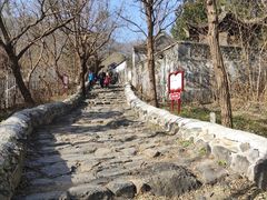 -阳台山自然风景区