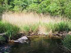 -碓臼峪自然风景区