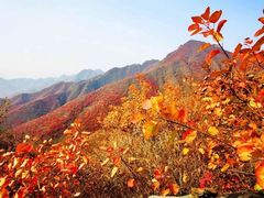 -周口店坡峰岭风景区