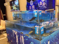 -同喜烤鸭店(光芒店)