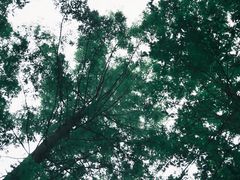 -上海浦江郊野公园-3号停车场