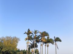 -鼓浪屿钢琴博物馆