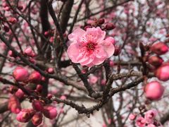 -鹫峰国家森林公园