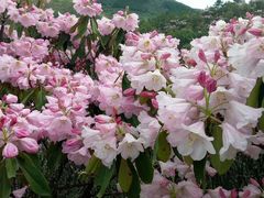 -井冈山风景名胜区