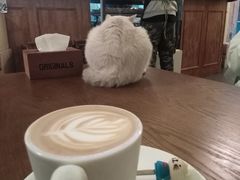 -猫色咖啡·猫咖