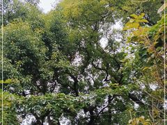 -上海动物园(地铁站)