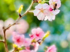 -静安雕塑公园