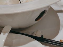 -眉州东坡(远洋未来广场店)