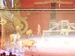 -珠海横琴长隆《卡卡虎奇遇记》