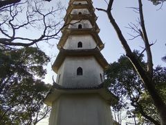 -江心屿景区