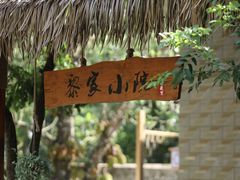 -海南霸王岭国家森林公园