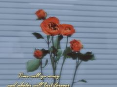 -莫山小馆(大石桥店)