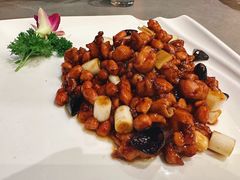 -芙蓉凰花园酒楼
