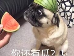 -韩宫宴烤肉·料理(宝山万达店)
