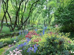 -上海共青森林公园