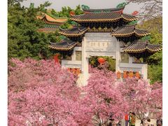 -宝墨园景区