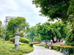 -神仙树公园