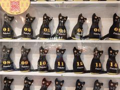 -猫咪博物馆(顶澳仔猫街店)