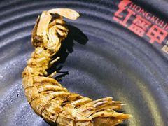 -红盔甲·小龙虾(天钥桥店)