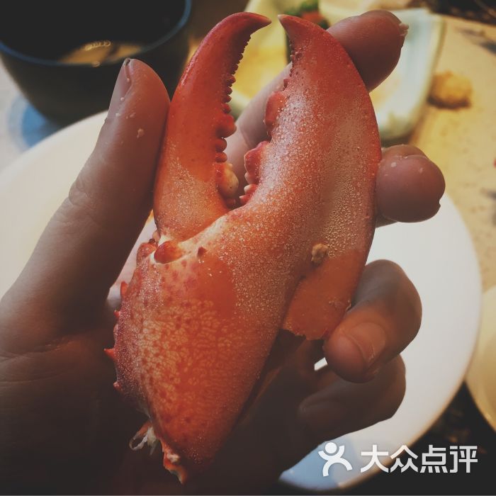 tuna吞拿名家(极地店)图片 - 第1475张