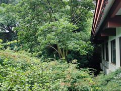 -中国茶叶博物馆(双峰馆区)