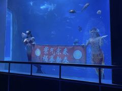 -太平洋海底世界