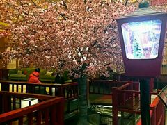 -大江户·温泉洗浴(浑南店)