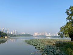 -月湖风景区