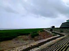 -南汇嘴观海公园