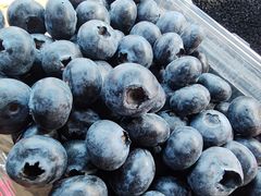 -洋洋爸雪糕(万科店)