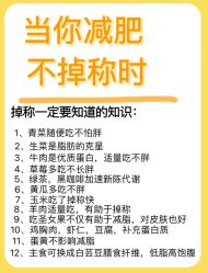 -Fundi张玉珊修身堂·indiba·BTL科技瘦身