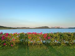 -露天矿生态公园