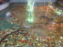 -水晶之星洗浴温泉汗蒸