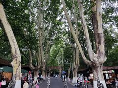 -灵谷景区