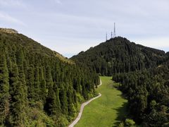 -武陵山森林公园