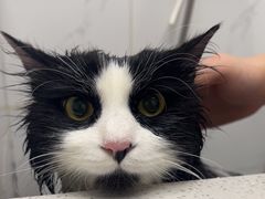 -安安宠医·臻爱宠物医院·宠保定点(营门口路分院)