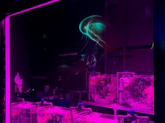 -沈阳海洋探索中心