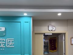 -安安宠医宠物医院·异宠·犬猫内科(岳阳分院)