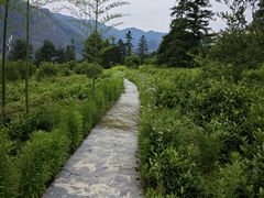 -黄山翡翠谷景区