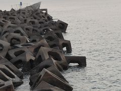 -东疆建设开发纪念公园