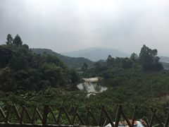 -天强农家菜馆