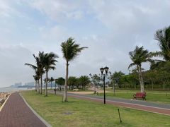 -野狸岛
