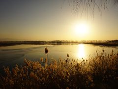 景点-野鸭湖国家湿地公园