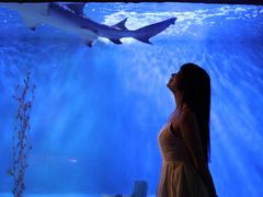 -太平洋海底世界