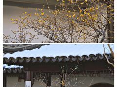 -太平天国历史博物馆(瞻园)