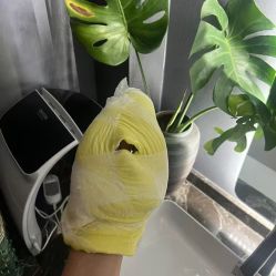 -悠禾·美甲美睫·皮肤管理
