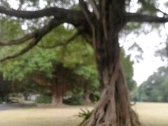 -南宁南湖公园