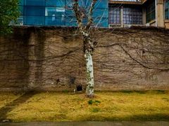 -半岛1919创意园区