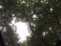 景点-广州都市观光巴士(粤陶巴)